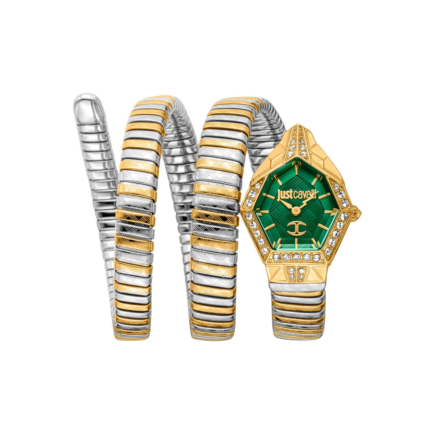Just Cavalli Ceasuri